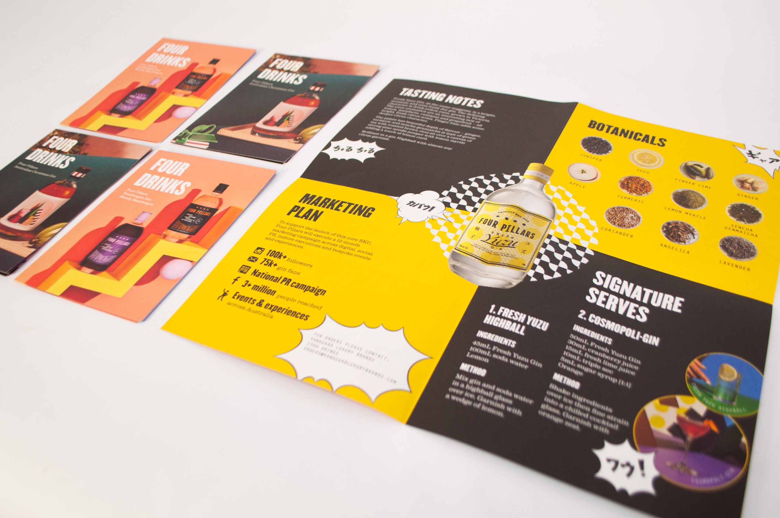 4 Pillars Fold-out Brochure 